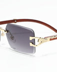 Kenshin B2 - LIMITED EDITION